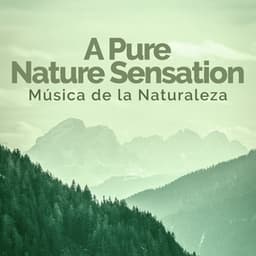 A Pure Nature Sensation - Música de la Naturaleza