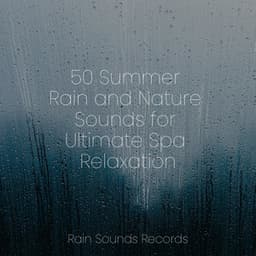 50 Summer Rain and Nature Sounds for Ultimate Spa Relaxation - Rain Sound Studio