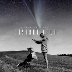 Instant Calm - Music For Dogs