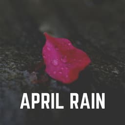 April Rain - Natsound