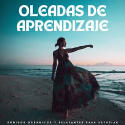 Oleadas De Aprendizaje: Sonidos Oceánicos Y Relajantes Para Estudiar - Puertos y Océanos