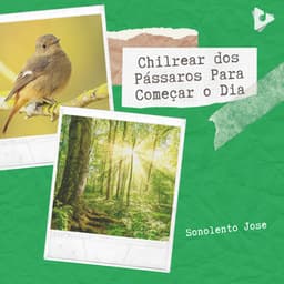 Chilrear dos Pássaros Para Começar o Dia - Sonolento Jose