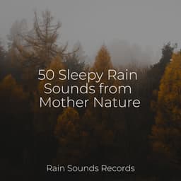 50 Sleepy Rain Sounds from Mother Nature - Meeresrauschen