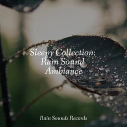 Sleepy Collection: Rain Sound Ambiance - Ocean Waves For Sleep