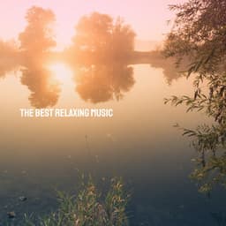 The Best Relaxing Music - Moonlight Sonata