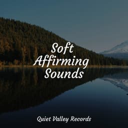Soft Affirming Sounds - Sleep Waves