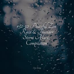 #50 50 Peaceful Zen Rain & Thunder Storm Music Compilation - Music to Relax in Free Time