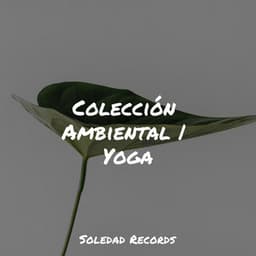 Colección Ambiental | Yoga - Masaje Tantrico Musica Colección
