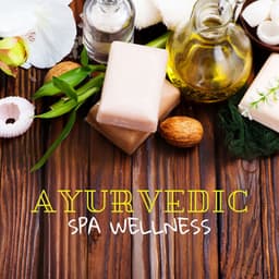 Ayurvedic Spa Wellness - Hindi Direction