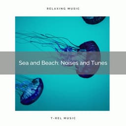! ! ! ! ! ! Sea and Beach: Noises and Tunes - Calm Sea Sounds
