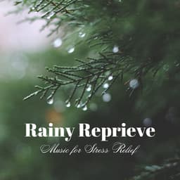 Rainy Reprieve: Music for Stress Relief - Rainy Lullaby