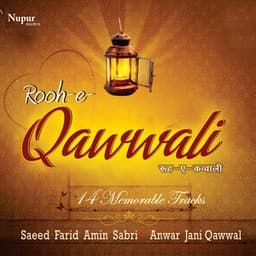 Rooh-E-Qawwali - Sayid Farid Amin Sabri