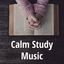 Calm Study Music - Study Focus