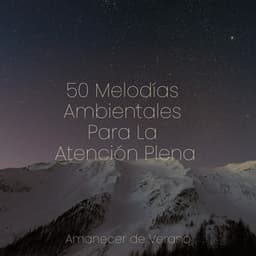 50 Melodías Ambientales Para La Atención Plena - Meditación