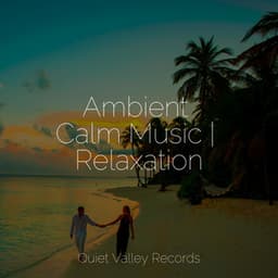 Ambient Calm Music | Relaxation - Rain Sounds Collection