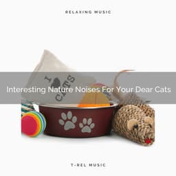 Interesting Nature Noises For Your Dear Cats - Pets Total Relax