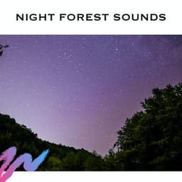Night Forest Sounds - White Noise Radiance