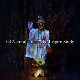 63 Natural Tracks To Inspire Study - Meditation Focus