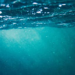 1 Coastal Night: Seafoam Serenity Serenade - Ocean Sounds