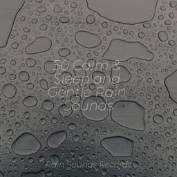 50 Calm & Sleep and Gentle Rain Sounds - Musica Romantica