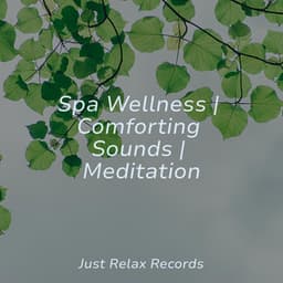 Spa Wellness | Comforting Sounds | Meditation - Calming Sounds