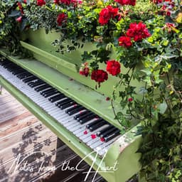 Notes from the Heart - Study Music And Piano Music