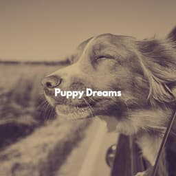 Puppy Dreams - Dogs at Home