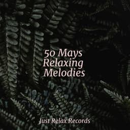 50 Mays Relaxing Melodies - Meditation