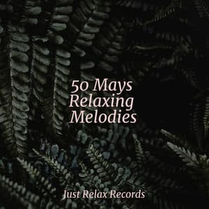 50 Mays Relaxing Melodies - Meditation