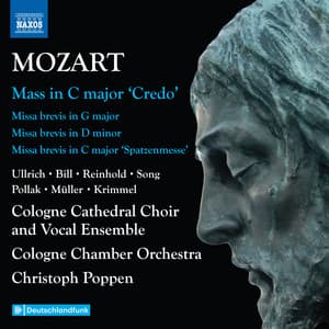 Mozart: Complete Masses, Vol. 6 - Wolfgang Amadeus Mozart