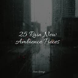 25 Rain New Ambience Pieces - Classical Study Music