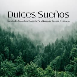 Dulces Sueños: Sonidos De Naturaleza Relajante Para Quedarse Dormido En Minutos - Sonidos de la Naturaleza para Dormir
