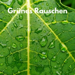 Grünes Rauschen - Weißes Rauschen Forschung