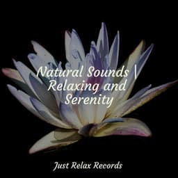 Natural Sounds | Relaxing and Serenity - Música Zen Relaxante