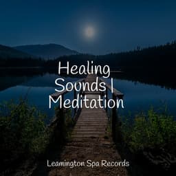 Healing Sounds | Meditation - Deep Sleep Brown Noise