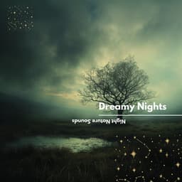 Dreamy Nights: Ambient Nocturnal Sounds - Night Nature Sounds