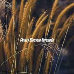 Cherry Blossom Serenade - Coffeehouse Lounge