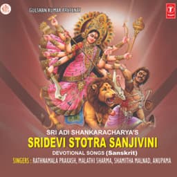 Sridevi Stotra Sanjivini - Ratnamala Prakash