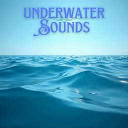 432 Hz - Experience Profound Relaxation & Mental Clarity with Healing Sound Waves - Natura Ferox