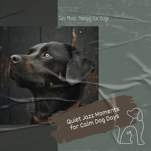 Quiet Jazz Moments for Calm Dog Days - Jazz Music Therapy for Dogs