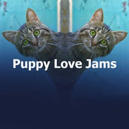 Puppy Love Jams - Dog Music Radio