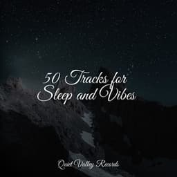 50 Tracks for Sleep and Vibes - Wave Sound Group