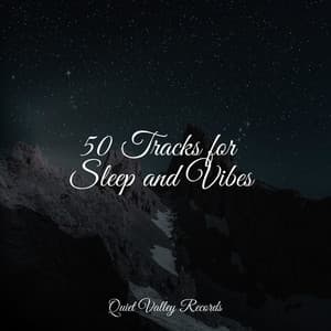 50 Tracks for Sleep and Vibes - Wave Sound Group