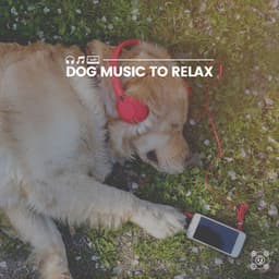 Dog Music to Relax - Dog Sleep Academy