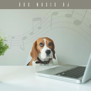 Calming Music For Dogs Home Alone - Dog Music DJ