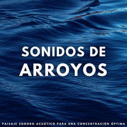 Sonidos De Arroyos: Paisaje Sonoro Acuático Para Una Concentración Óptima - Paisaje sonoro de agua goteando