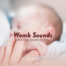 Womb Sounds And Sleep Sounds For Baby - Baby Shushing