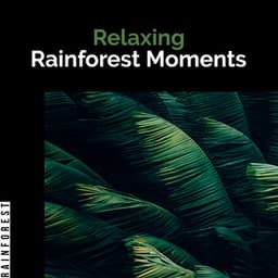 Relaxing Rainforest Moments - Rainforest