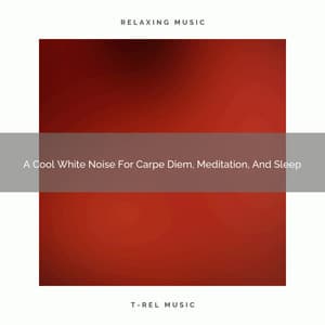 A Cool White Noise For Carpe Diem, Meditation, And Sleep - White Noise Pleasant Sounds