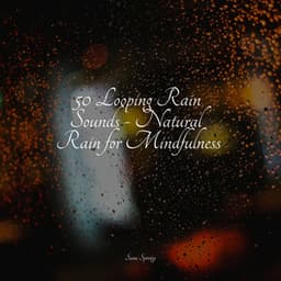 50 Looping Rain Sounds - Natural Rain for Mindfulness - Deep Sleep Systems